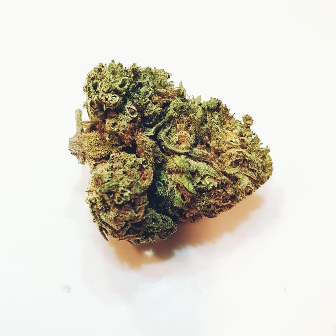 Northern Lights (Nl)